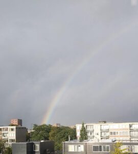 Regenboog